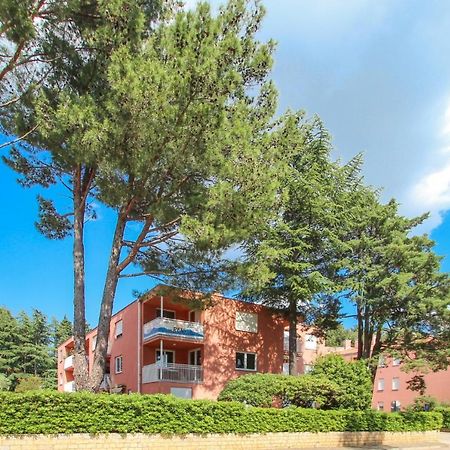 Vesna S Apartment Novigrad  Exterior photo