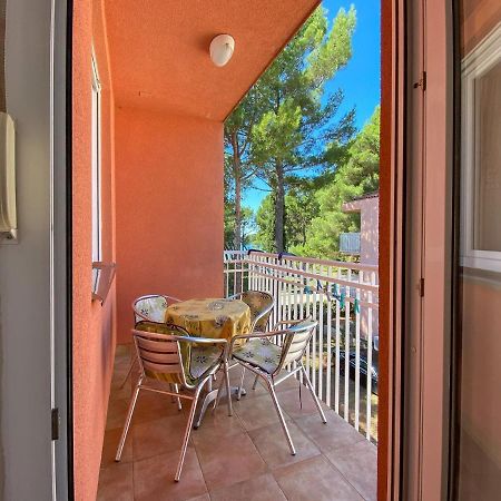 Vesna S Apartment Novigrad  Exterior photo
