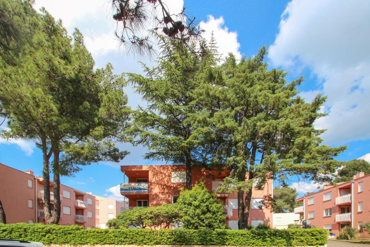 Vesna S Apartment Novigrad  Exterior photo