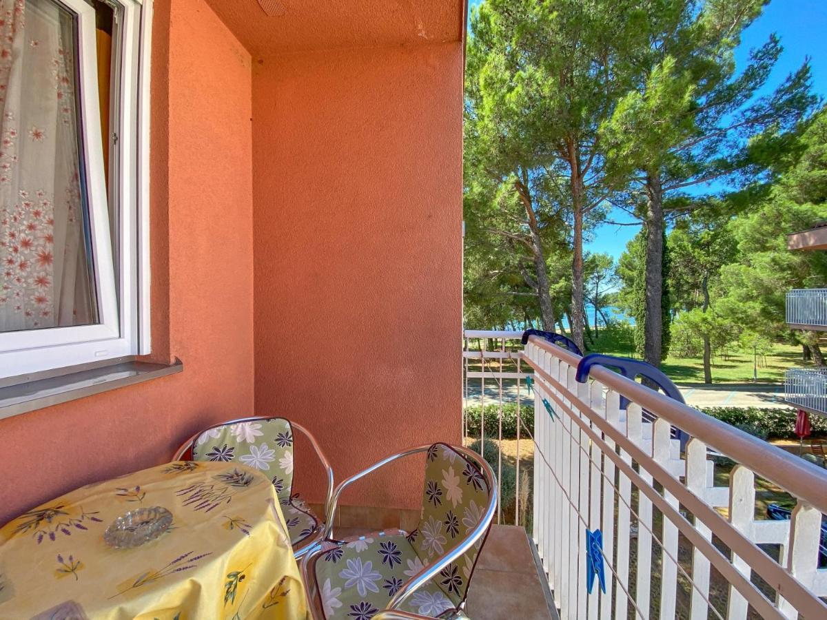 Vesna S Apartment Novigrad  Exterior photo
